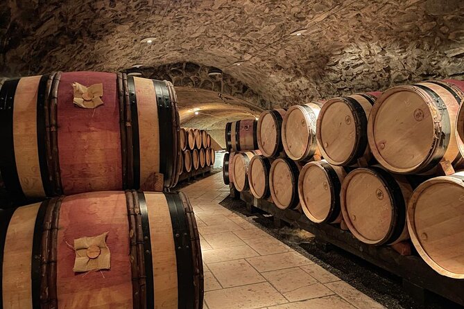 Guided tour and wine tasting Northern Rhône Valley - Northern Rhône Valley in 4 hours 15 minutes from Lyon