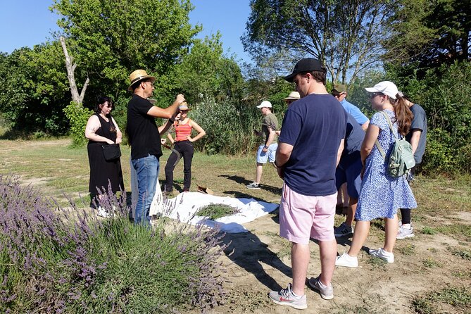 Guided tour Distillery of Lavender between Nîmes & Arles - Who this tour fits best (and who might want more than one hour)