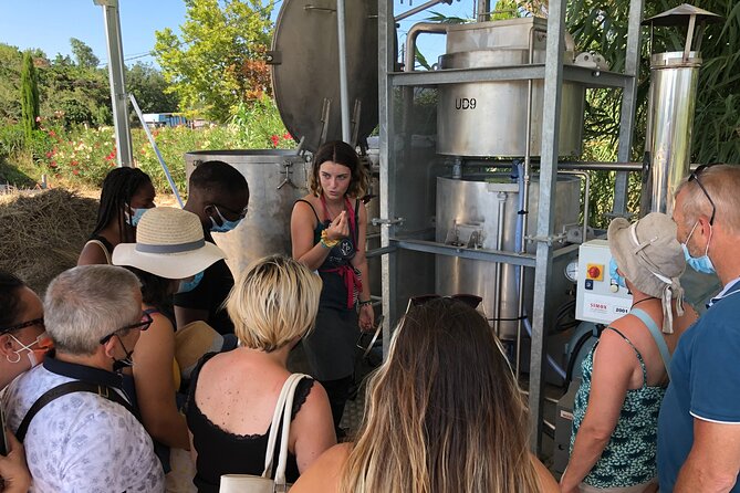 Guided tour Distillery of Lavender between Nîmes & Arles - Price and value: why $9.65 feels like a fair deal