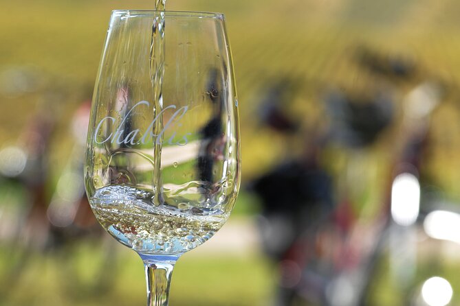Guided tour of the Chablis Vineyards by e-bike - Key things I’d plan around