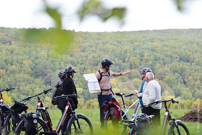Guided tour of the Chablis Vineyards by e-bike - Chablis vineyards: what you’re actually learning while you ride