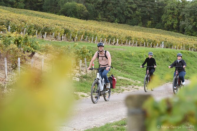 Guided tour of the Chablis Vineyards by e-bike - The wine estate walkthrough: vat room, cellar, then bottling