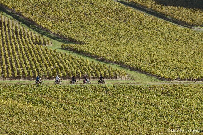 Guided tour of the Chablis Vineyards by e-bike - Price and value: what $118.63 is buying you
