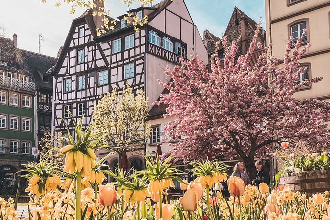 Guided Walking Tour in Strasbourg between History and Curiosities - Stop 1: Place de la République and the Square’s Hidden Meaning