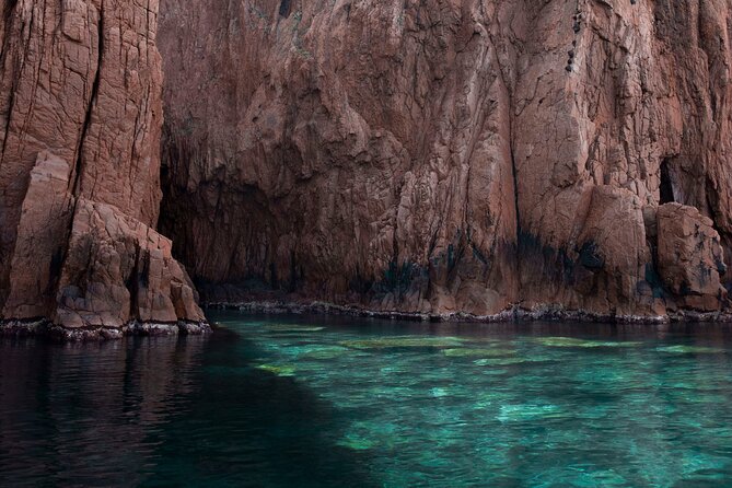 half-day excursion / snorkeling calanques de piana-capo rosso - Your Skipper and Onboard Vibe (Lionel Shows Up Often)