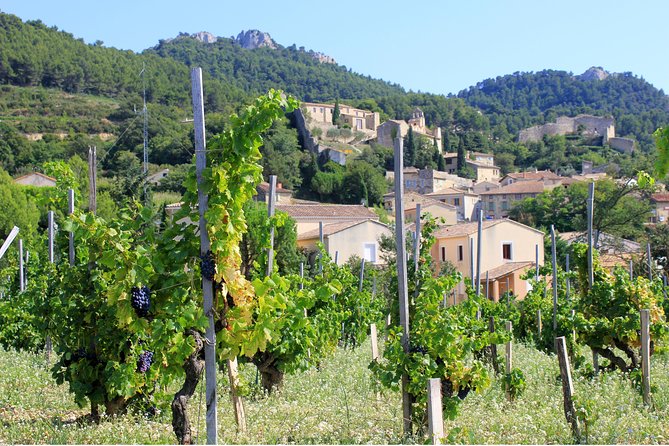 Half Day Great Vineyard Tour from Avignon - A Half-Day Rhône Wine Fix From Avignon