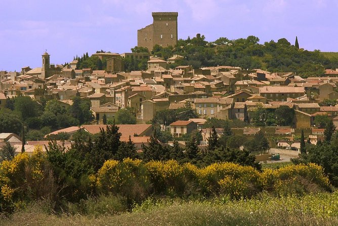 Half Day Great Vineyard Tour from Avignon - What You’ll Actually See, Not Just What You’ll Taste
