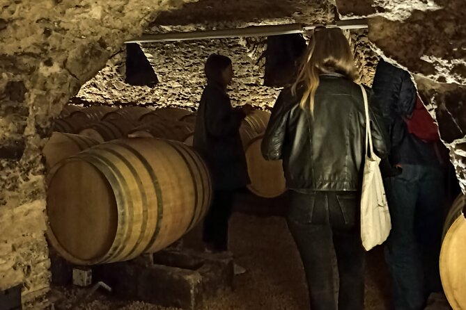 Half-Day Guided Tour with Tasting of Beaujolais Wines - Two Estates, One Half Day, and a Big Taste Lesson