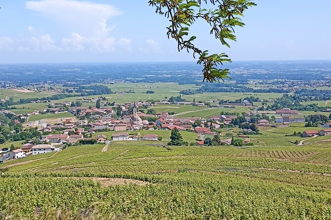 Half-Day Guided Tour with Tasting of Beaujolais Wines - The Ride Through Beaujolais Villages: Comfortable Transport, Real Views