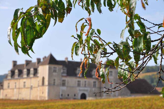 Half Day Tour of the Cote de Nuits Vineyards from Dijon - Key highlights you should care about