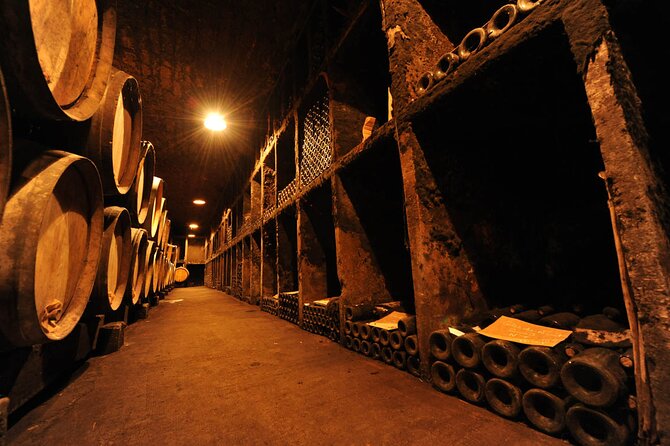 Half Day Tour of the Cote de Nuits Vineyards from Dijon - Hautes Côtes and the Ouche Valley canal drive for your final wow