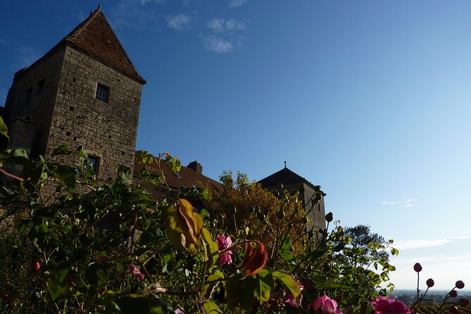 Half Day Tour of the Cote de Nuits Vineyards from Dijon - Value check: is $80 worth it for a half day?
