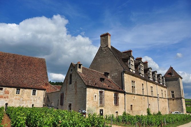 Half Day Tour of the Cote de Nuits Vineyards from Dijon - Vineyard and village heritage stops: why the walk matters