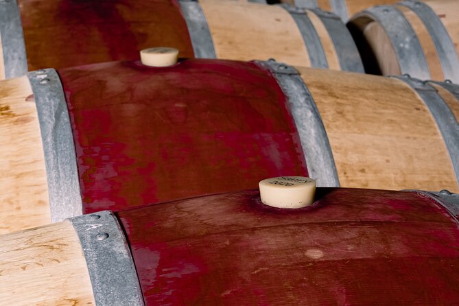 Half day tour Saint-Emilion : Village & Château with wine tasting - Price and value: about $109 for transport, guidance, and wine education