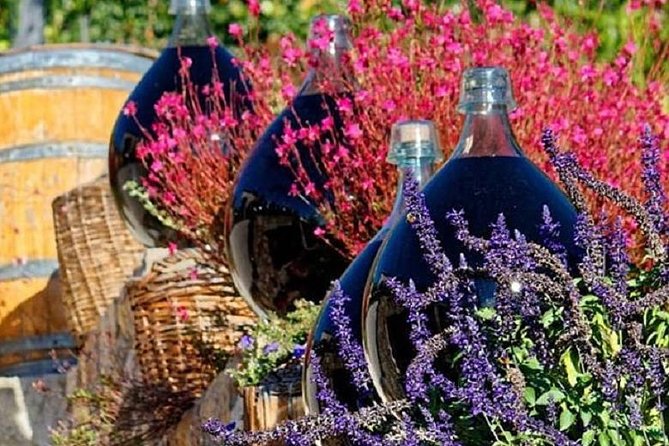 Half-Day Wine Tasting and Saint Paul de Vence Tour from Nice - Wine and value: what you’re really paying for