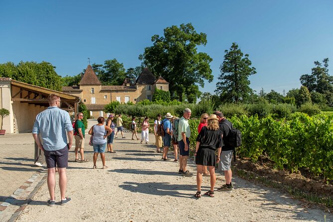Half-Day Wine tour across Bordeaux’s Vineyards - Key Highlights to Look For