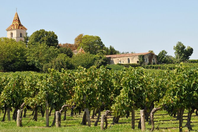 Half-Day Wine tour across Bordeaux’s Vineyards - English and French at the Same Time: Helpful, But It Can Slow the Day