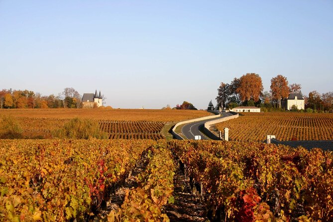 Half-Day Wine tour across Bordeaux’s Vineyards - Weather and Comfort: Bordeaux Can Be a Mood Swing