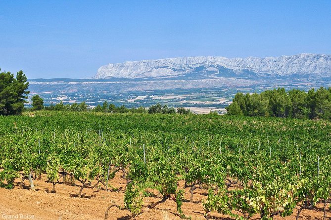 Half day Wine Tour in Côtes de Provence Sainte-Victoire from Aix en Provence - Aix pickup, Sainte-Victoire views, and a morning that moves
