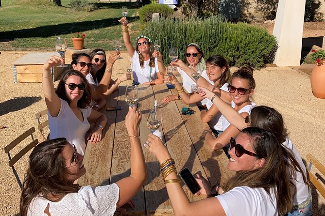 Half day Wine Tour in Côtes de Provence Sainte-Victoire from Aix en Provence - The A/C minivan with a small-group cap