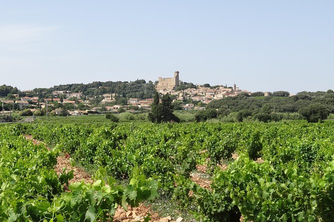 Highlights of Provence : Chateauneuf du Pape & Luberon - Avignon and the Roman touch points: brief stops, big scenery payoff