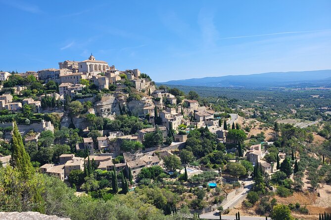 Highlights of Provence in one day - Provence in one long day, starting and ending in Avignon
