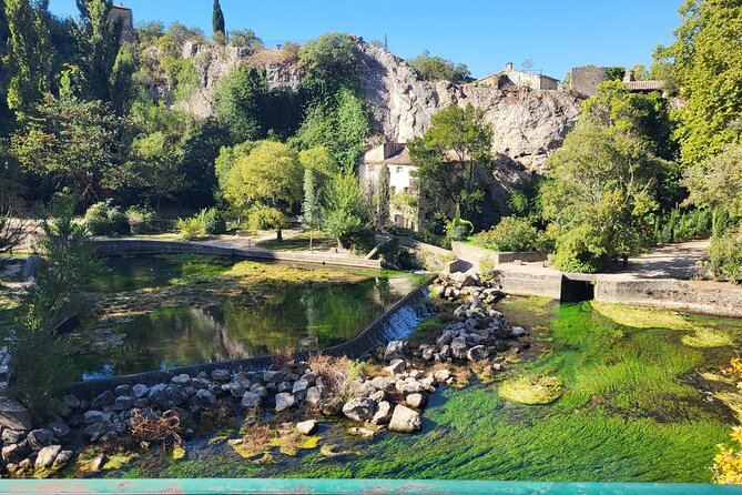 Highlights of Provence in one day - Small group van time, plus the guide’s on-the-road stories
