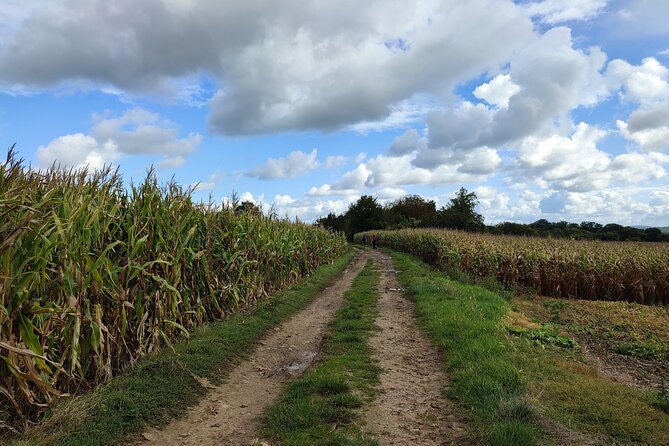Hiking Adventure in Van Gogh's Footsteps with 6 miles walk - Eglise Notre-Dame d’Auvers: a painting spot you can walk up to
