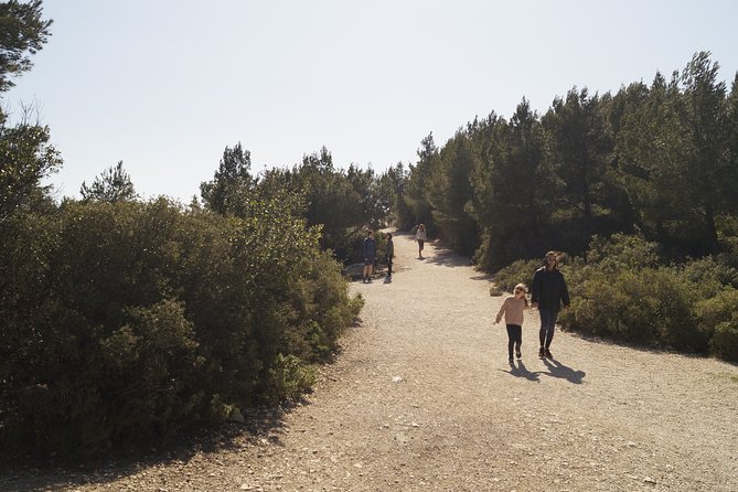 Hiking in the Calanques National park from Marseille - Sugiton descent and the sea stop: the part you plan for