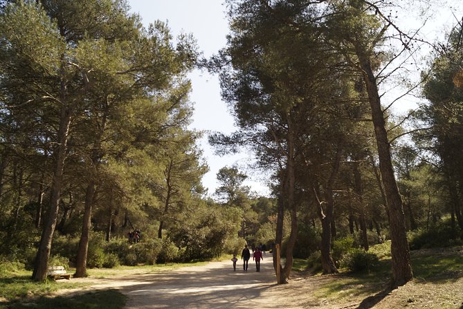 Hiking in the Calanques National park from Marseille - The picnic snack break: practical, not precious