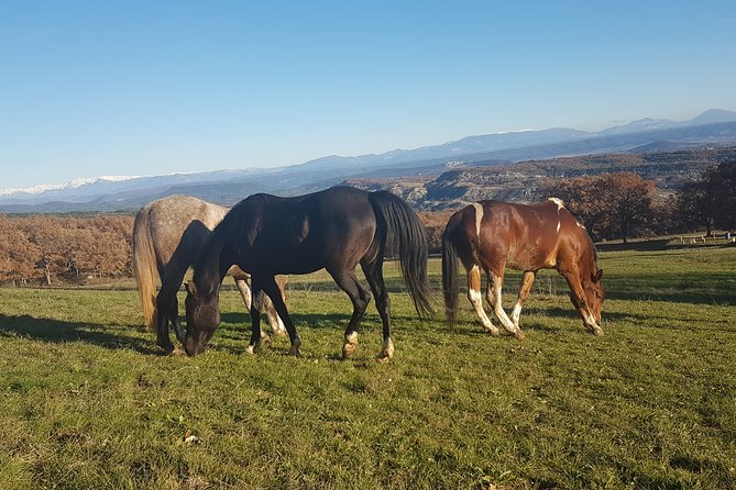 Horse ride in Haute Provence Luberon and Forcalquier - Views you actually feel: Luberon scenery from the saddle