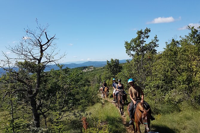 Horse ride in Haute Provence Luberon and Forcalquier - Price and value: is $80.46 worth it?