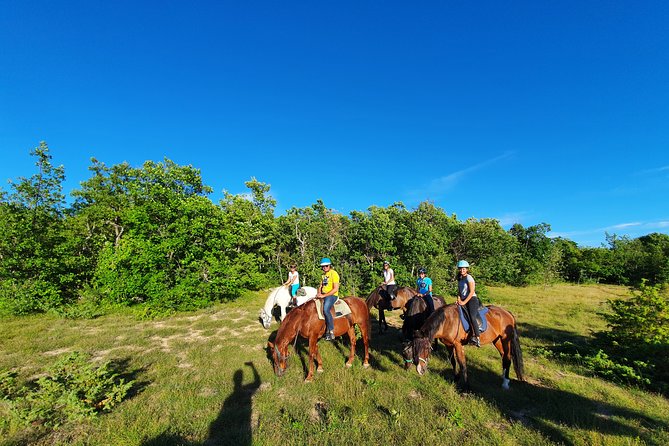 Horse ride in Haute Provence Luberon and Forcalquier - What to wear and bring: the gear rules that keep it comfortable