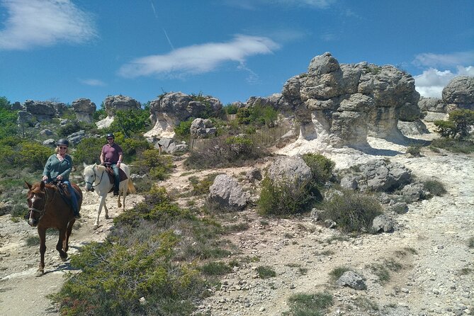 Horse ride in Haute Provence Luberon and Forcalquier - Meet the Horses First: helmets, brushing, and beginner prep