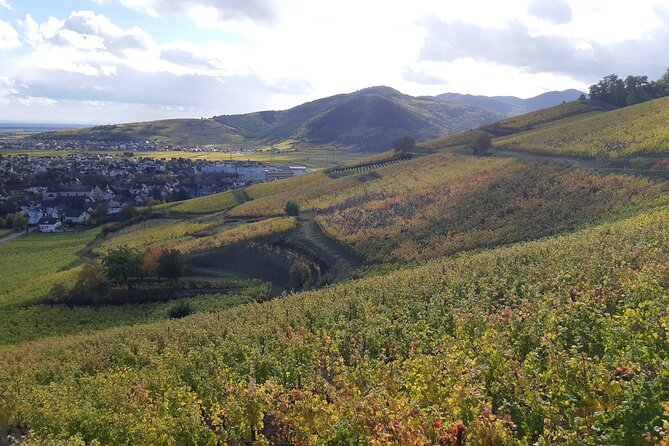 ICONICS Tour: 1/2 day on the Wine Route, visit of 2 Villages + Tasting. - The Alsace Wine Route and the cellar tasting that anchors the whole tour