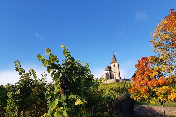 ICONICS Tour: 1/2 day on the Wine Route, visit of 2 Villages + Tasting. - The guide makes the difference, and Anna runs a tight, friendly flow