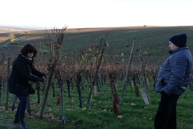 ICONICS Tour: 1/2 day on the Wine Route, visit of 2 Villages + Tasting. - Who this is best for, and who might want a different plan