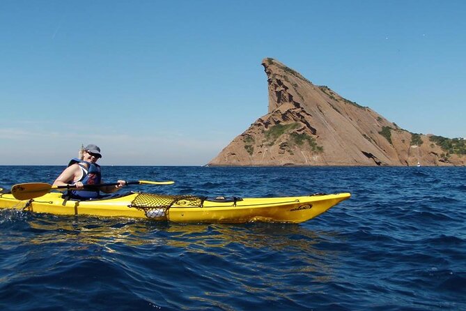 Kayak Tour at Calanques National Park (Ciotat) - What it feels like on the water: views, wildlife, and caves