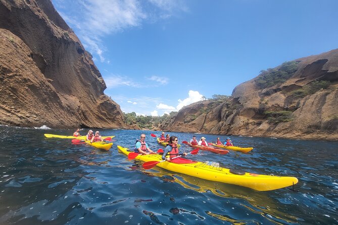Kayak Tour at Calanques National Park (Ciotat) - Price and logistics: whether $82.18 is a good deal