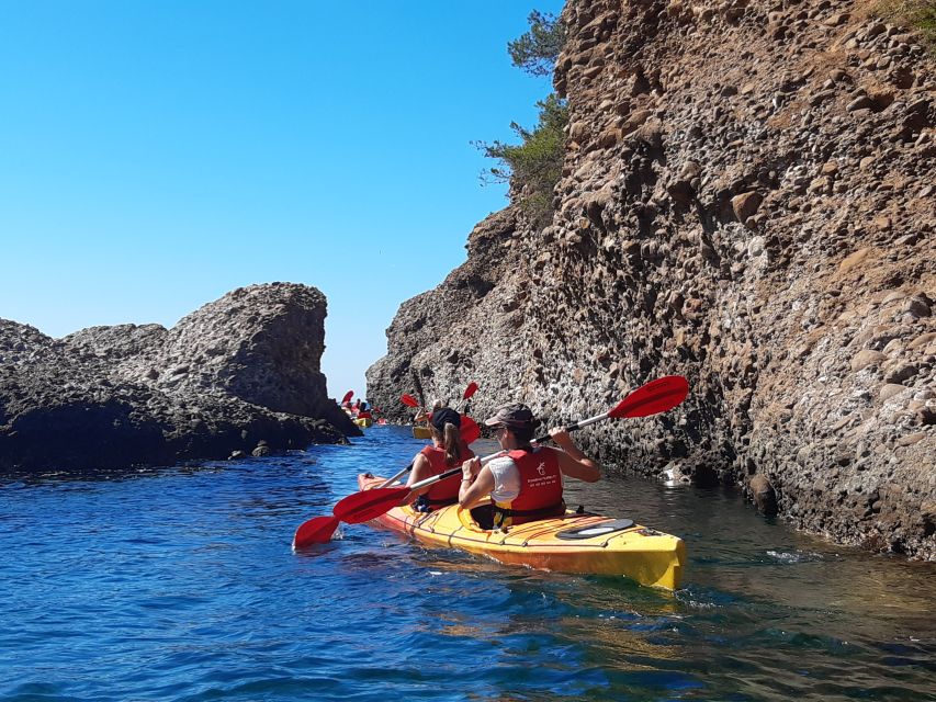 La Ciotat: Calanques National Park Guided Kayak Tour - How the guide changes your experience (and who you might meet)