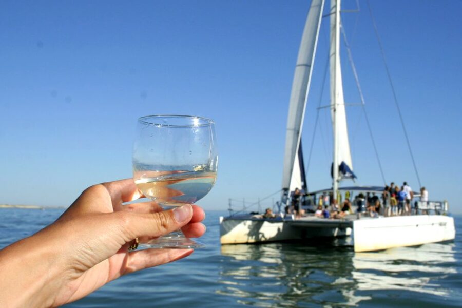 La Rochelle: Catamaran Cruise - Meeting at Avenue Michel Crépeau, Dockside by the Towers