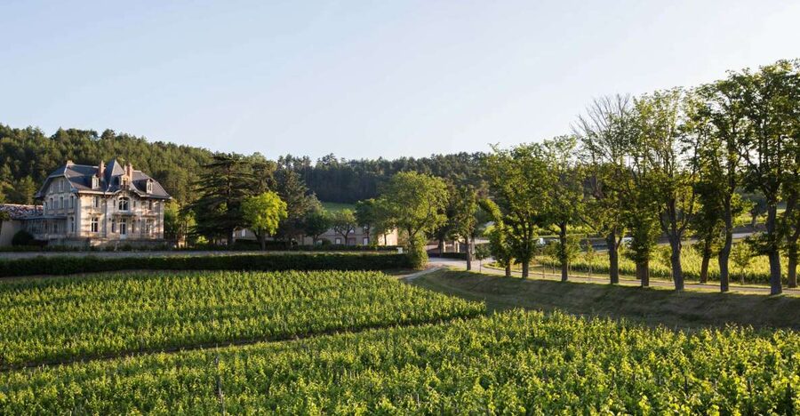 Languedoc: Tour and Tasting at Domaine de Baronarques - Key Points to Know Before You Go