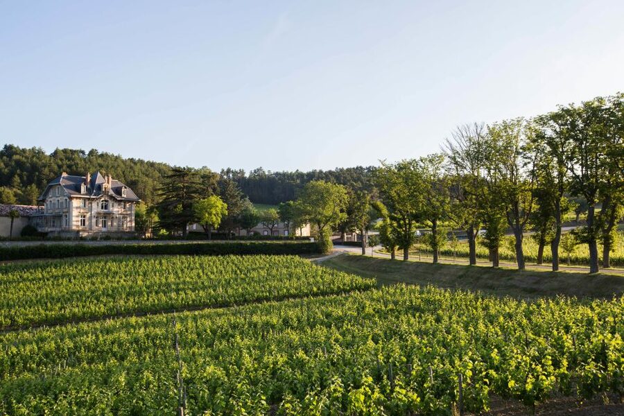 Languedoc: Tour and Tasting at Domaine de Baronarques - A 1-Hour Winery Visit That Fits Real Life