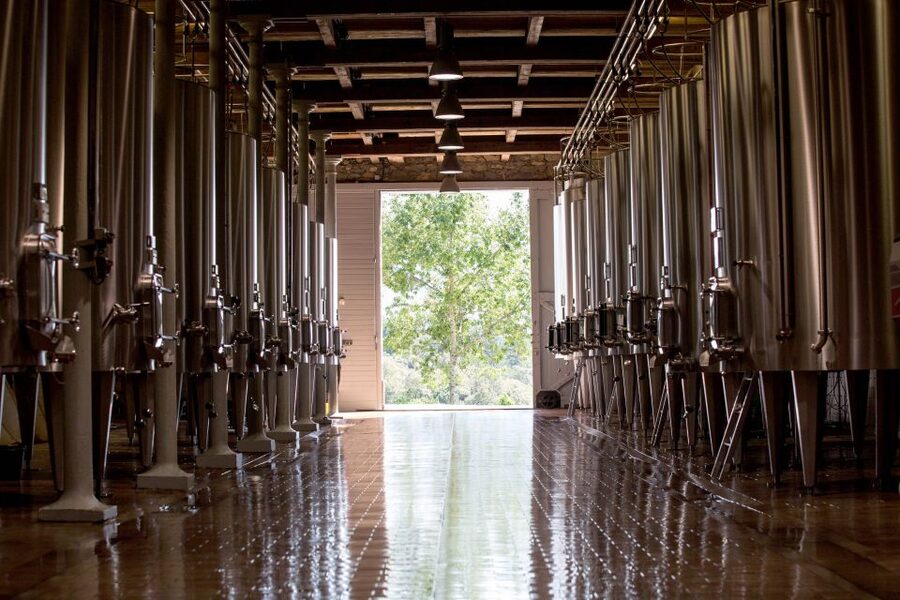 Languedoc: Tour and Tasting at Domaine de Baronarques - Who This Tour Is Best For (and Who Should Skip It)