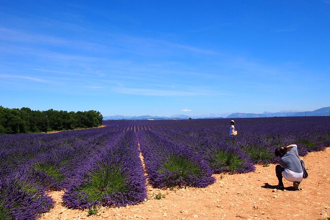 Lavender Fields Tour in Valensole from Marseille - Key Highlights You’ll Feel Right Away