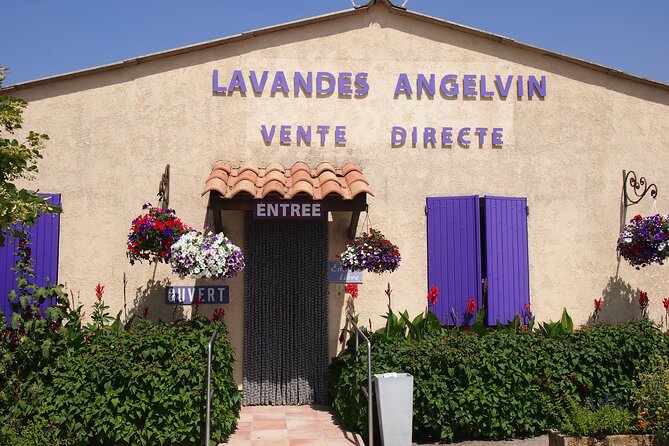 Lavender Fields Tour in Valensole from Marseille - From Central Marseille To Lavender Country