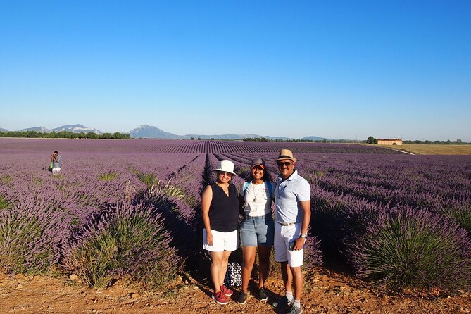 Lavender Fields Tour in Valensole from Marseille - What the Price Really Buys (And How to Judge Value)