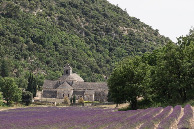Lavender in Luberon Small Group Half-Day Trip - Getting started in Avignon: meeting point and practical prep