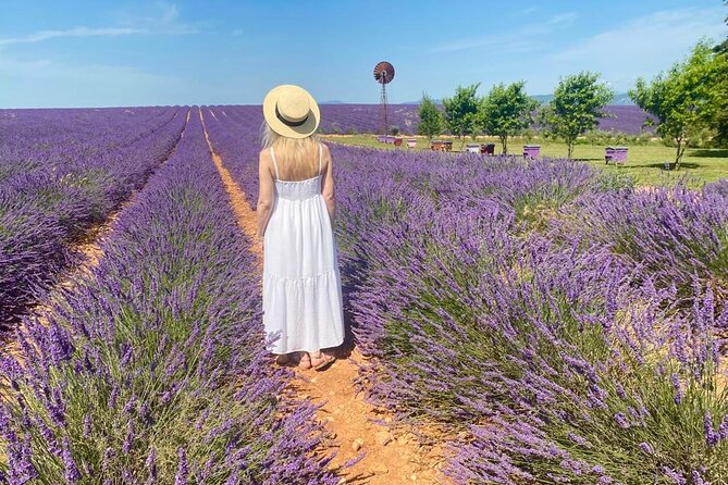 Lavender in Luberon Small Group Half-Day Trip - Gordes panorama viewpoint: the quick win at 15 minutes