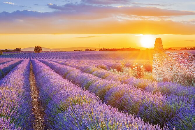 Lavender Route - Small-Group Day Trip from Avignon - Roussillon: Ochre Streets, Lunch Break, and the Optional Ochre Trail